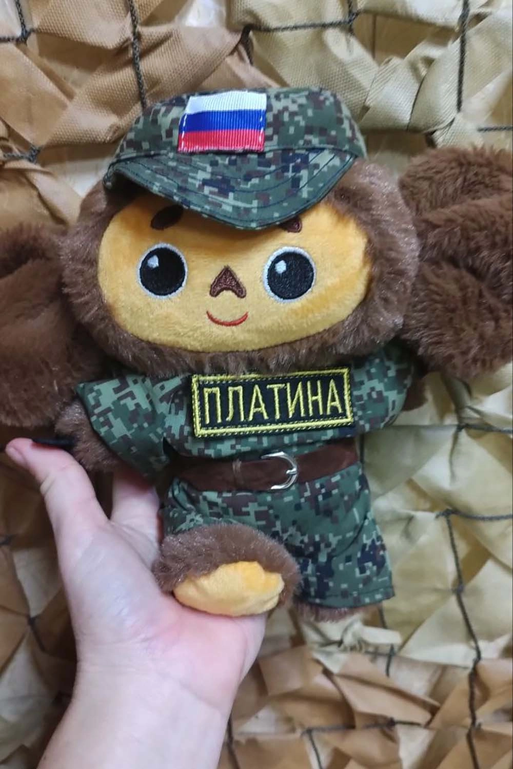 Фото к материалу Дмитрия Невзорова о женщине добровольце Платина (Алена Хоружая).