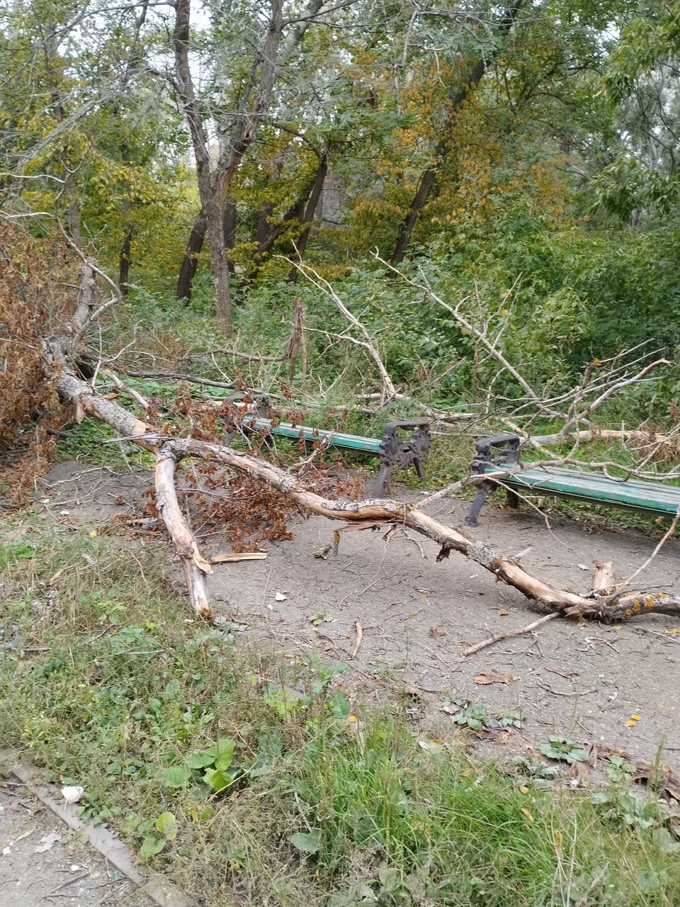 Зауральная роща Оренбурга