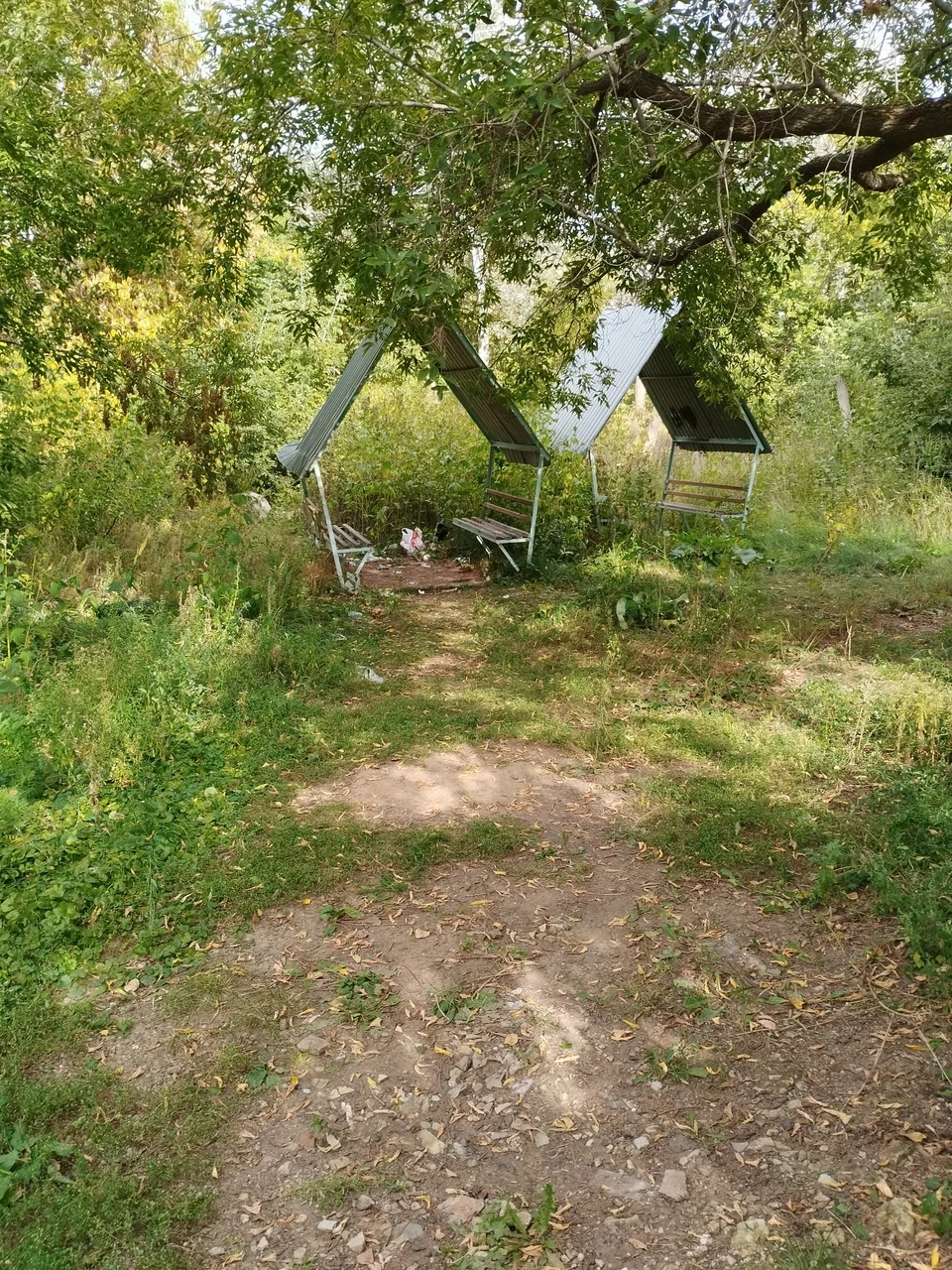 Зауральная роща Оренбурга