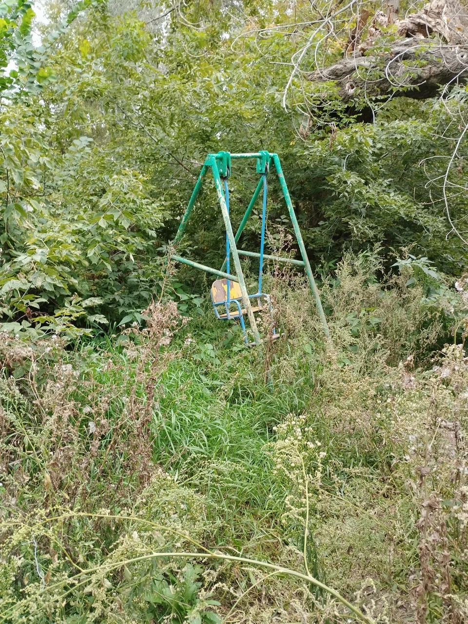 Зауральная роща Оренбурга.