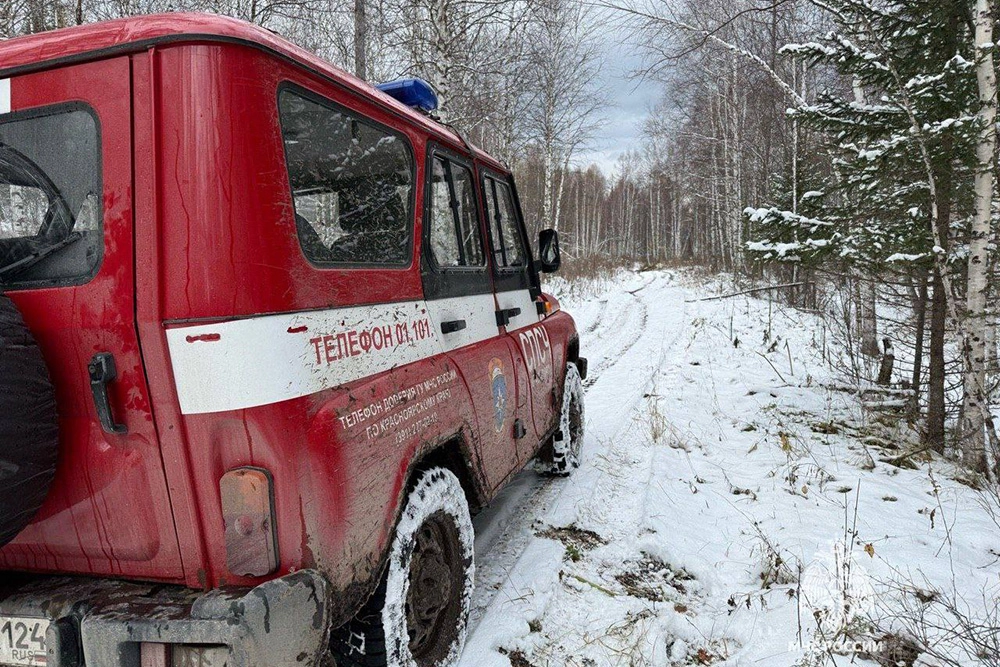 Поиск семьи Усольцевых