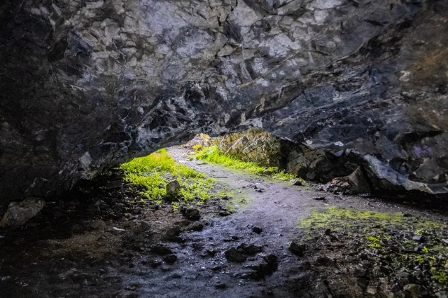 Овчинка выделки стоит. Как строительство завода лишило разбойника хлеба