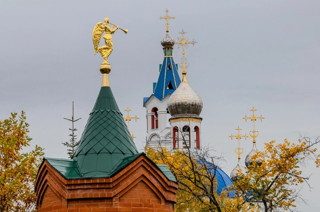 Овчинка выделки стоит. Как строительство завода лишило разбойника хлеба