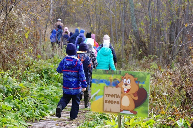 Бобровая тропа - это весёлое приключение и экологическое образование для ребят.