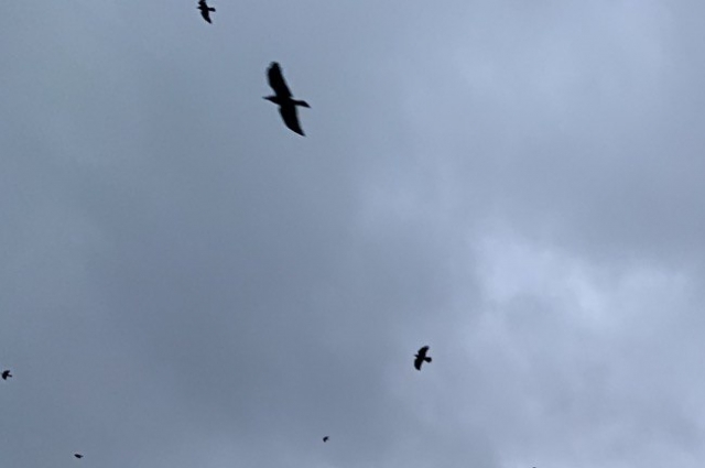 Пасмурное небо 21 декабря - хорошая примета.