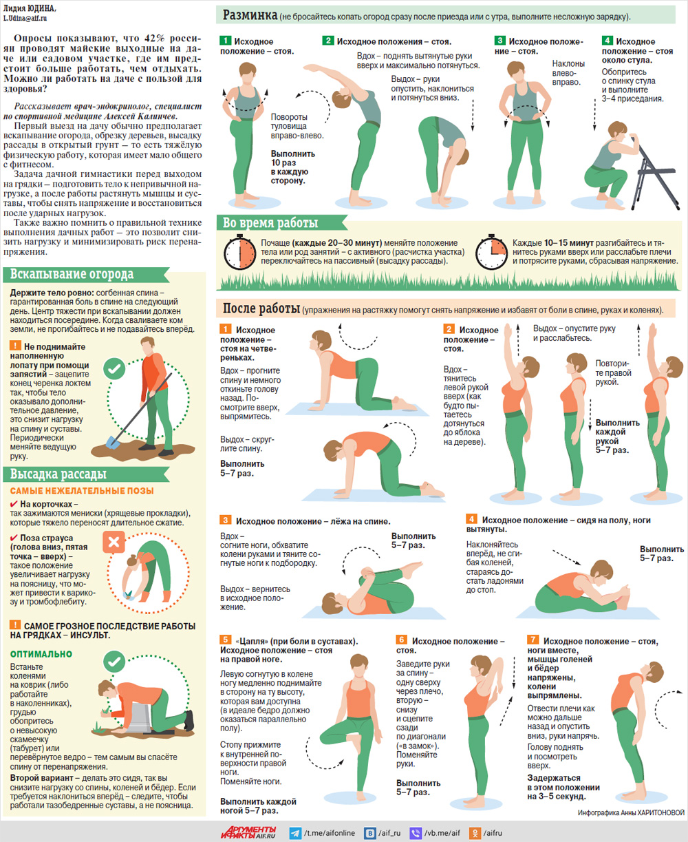 Зарядка на грядке. Как превратить дачные хлопоты в лечебную физкультуру? |  Аргументы и Факты