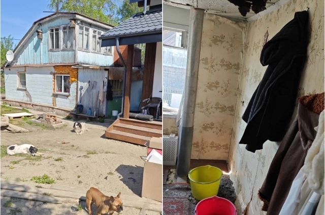 На данный момент Ольга живет в старом доме, когда постепенно разваливается.