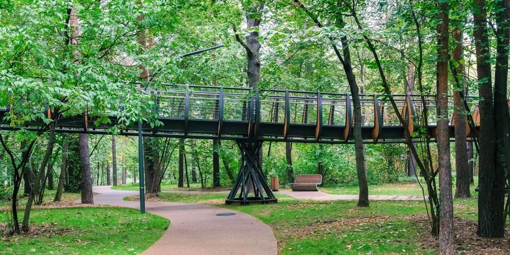 Воздушная экотропа на ВДНХ.