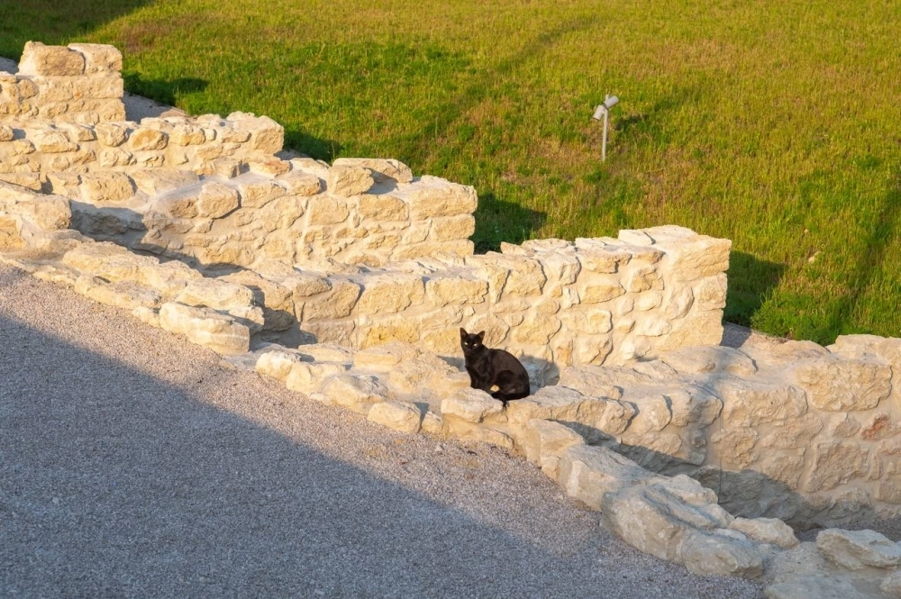 В парке площадью около 1,5 га были законсервированы участки наиболее насыщенные историческими конструкциями.