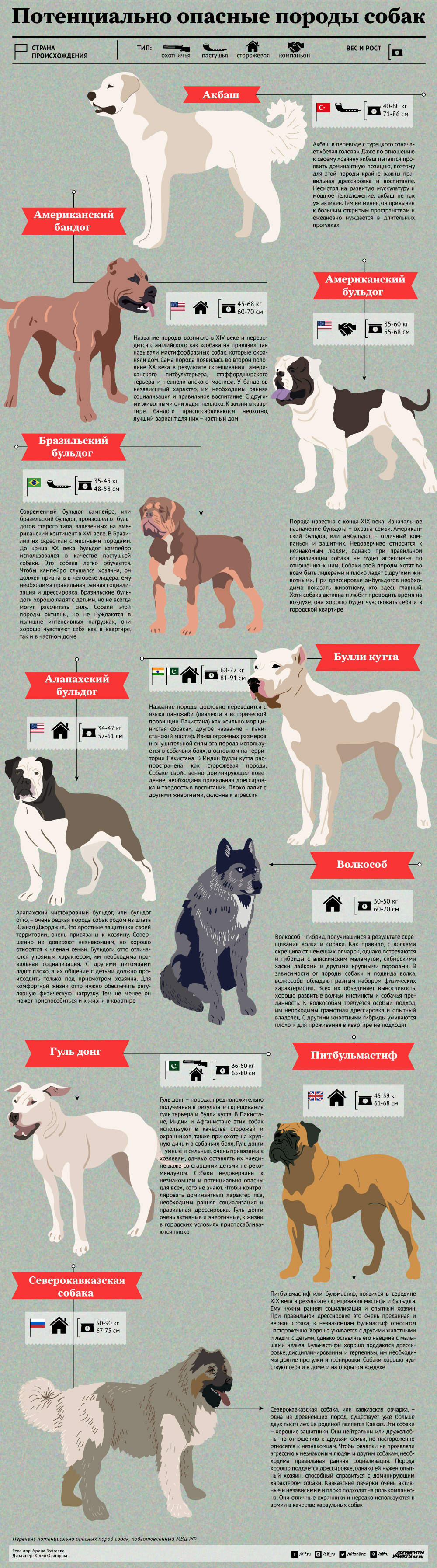 Потенциально опасные собаки рф. Породы опасных собак 2021. Опасные породы собак список в РФ 2021. Потенциально опасные породы. Потенциальлноопасные собаки.