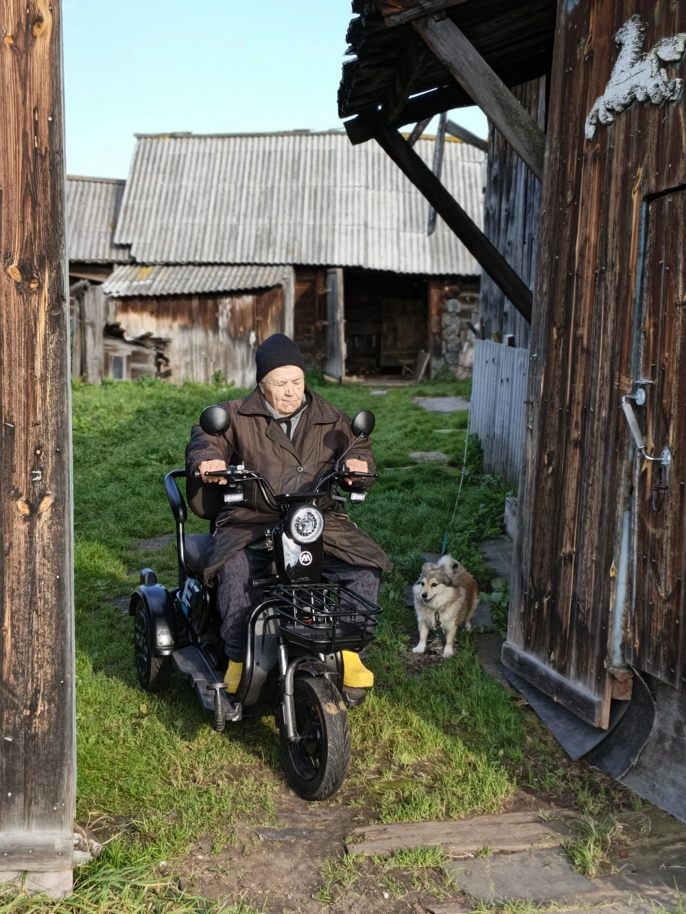 Пока Мария Григорьевна ездит по делам, собачка Джулия ждёт её дома.