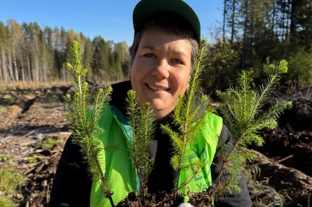 Несмотря на то, что площадь восстановленных лесов в Удмуртии всегда превышает объёмы вырубки, лесная отрасль сталкивается с серьёзными проблемами.