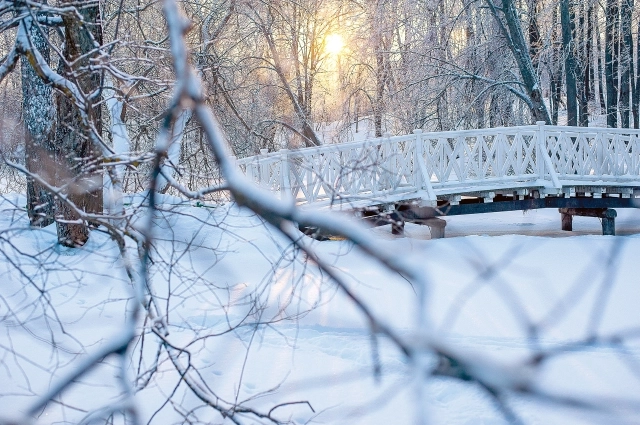 «Горбатый» мостик в усадьбе.