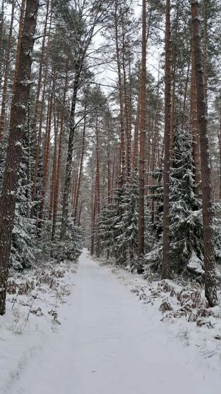 Республиканский нацпарк «Марий Чодра» — не просто заповедник.