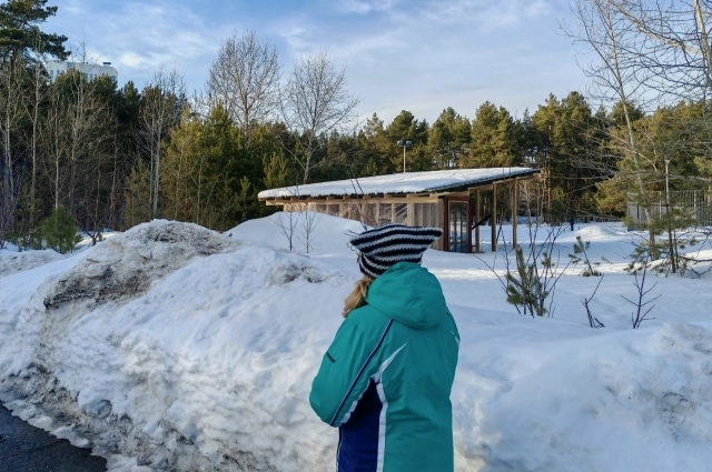 Прежние беседки возвращать не планируют. 