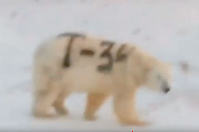 Белый медведь с надписью Т-34 на боку