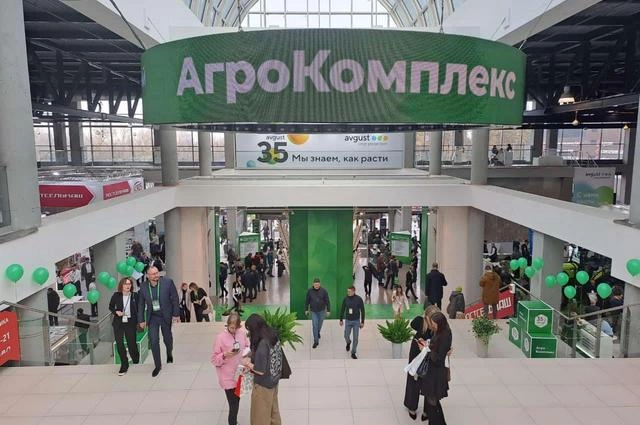 РСХБ выставка