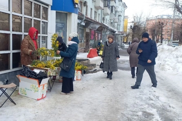 Мимозы стали символом женского дня.