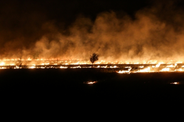Ландшафтные пожары нанесли большой убор Волгоградской области в 2017 году.