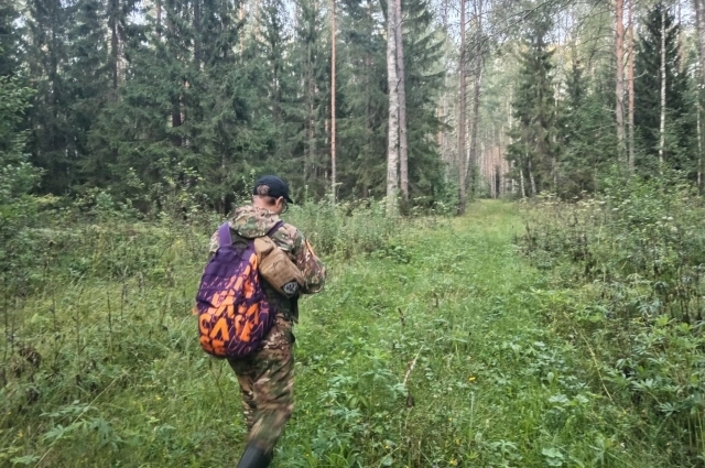 Людей не хватало. Поисковики просили помощи.