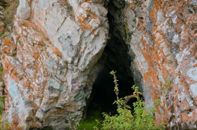 Овчинка выделки стоит. Как строительство завода лишило разбойника хлеба