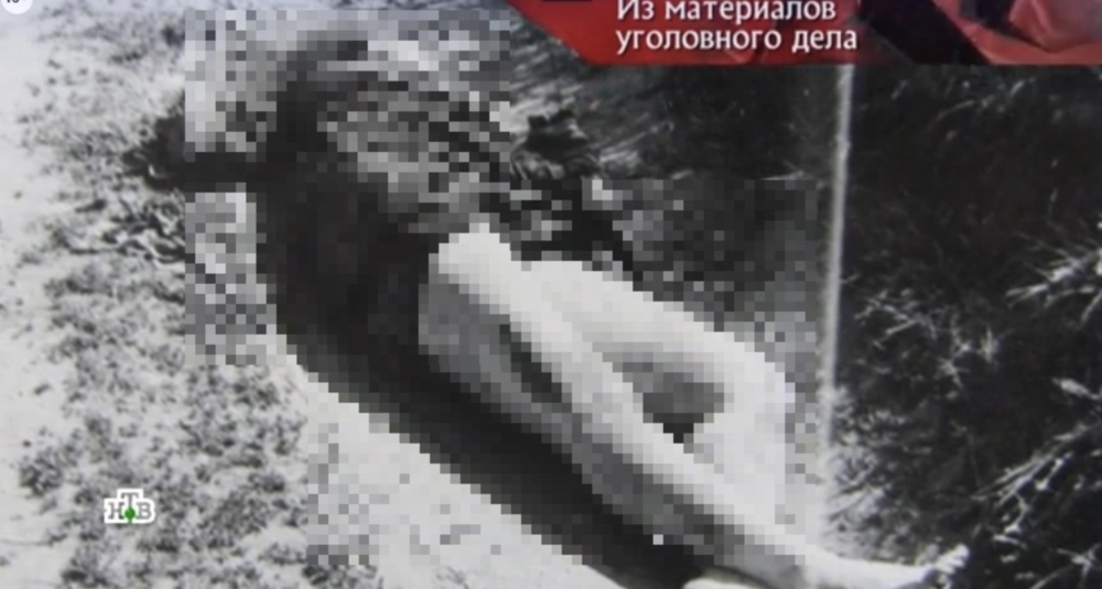 Кадры видео из программы