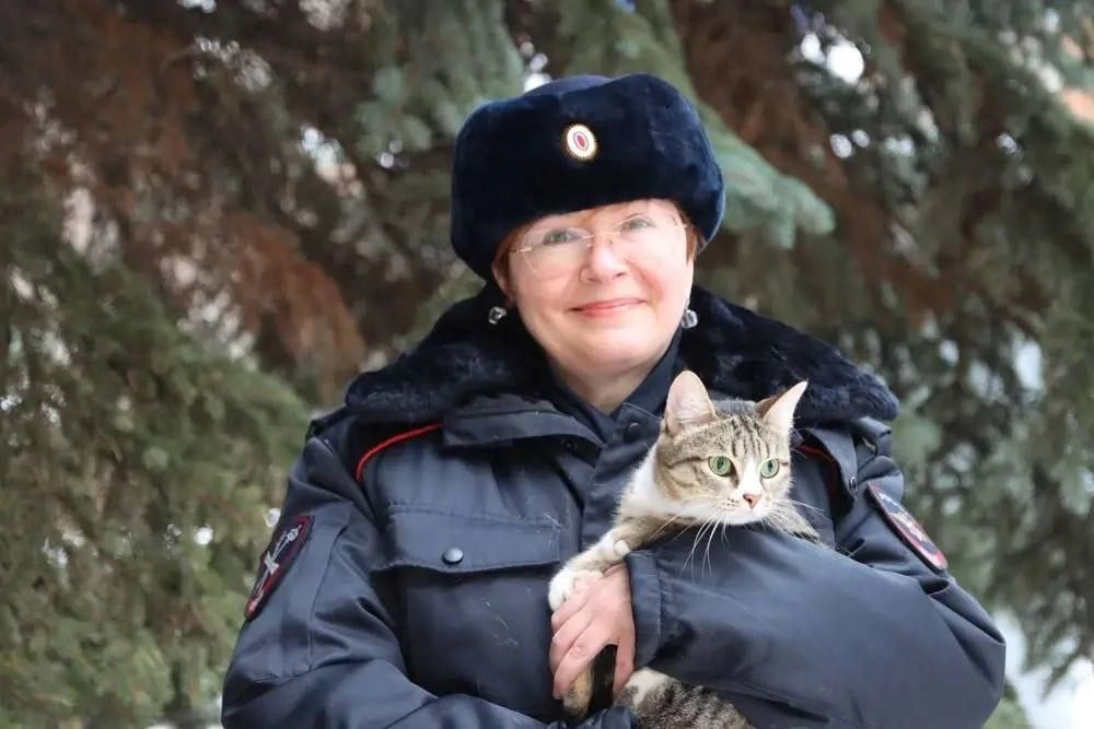 кошки полицейских