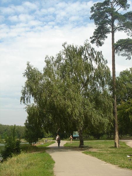 Парк у Джамгаровского пруда