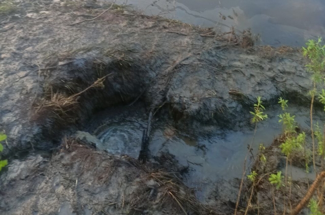Нефть по склону вытекла в реку. 