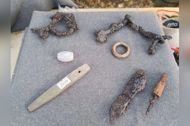 Детали конской сбруи.