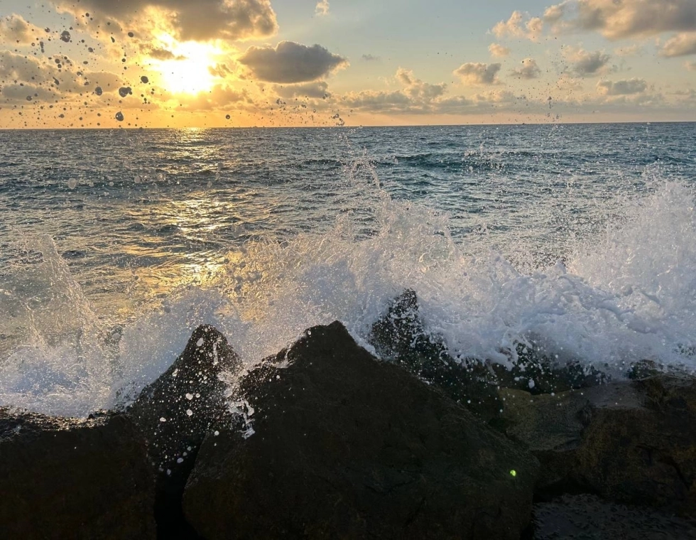 Юоия с семьёй живет в своём доме на берегу моря.