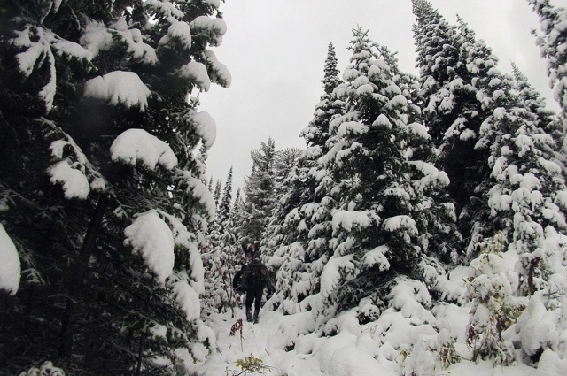 Гору окружает глухая тайга. 