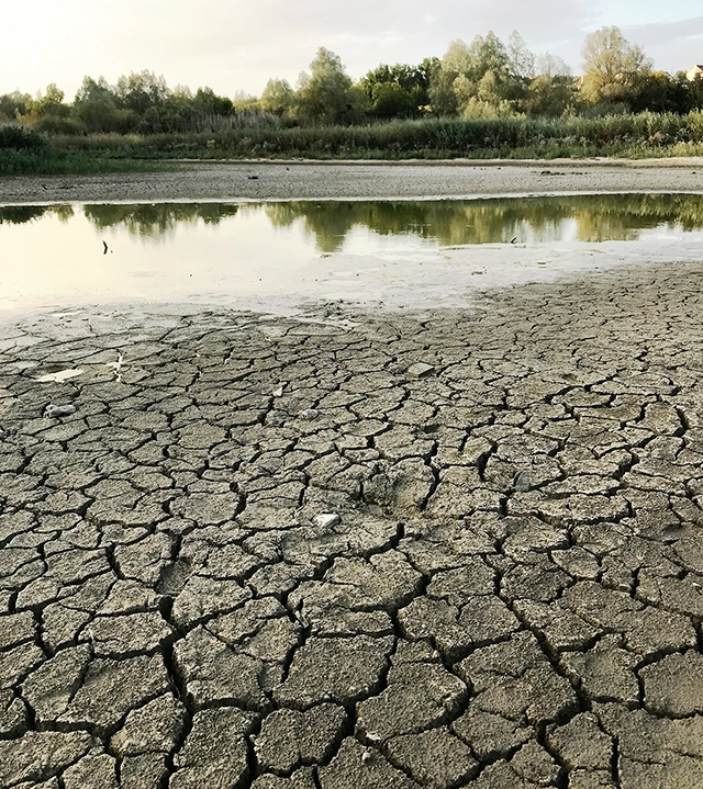 Некоторые мелкие водоёмы летом иссыхают полностью.