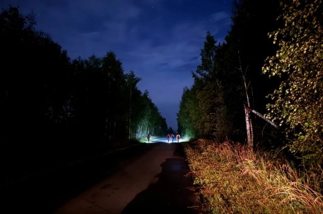 Волонтеры искали бабушку и днем и ночью.