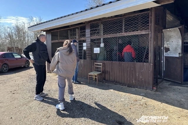 Люди приехали посмотреть на медведей.