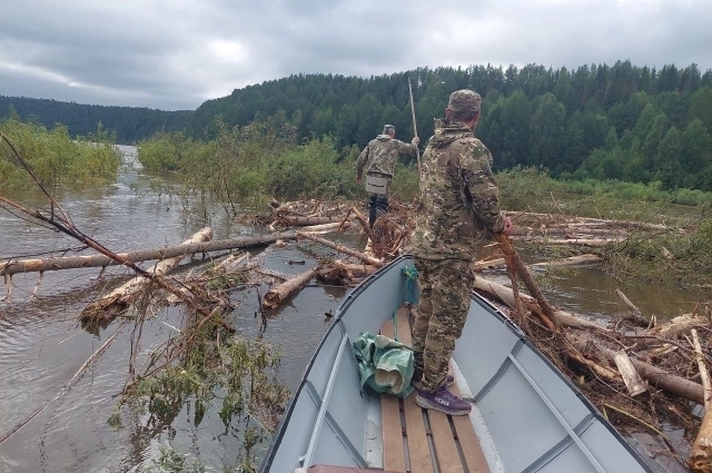 На лодках обследуют воду ежедневно.