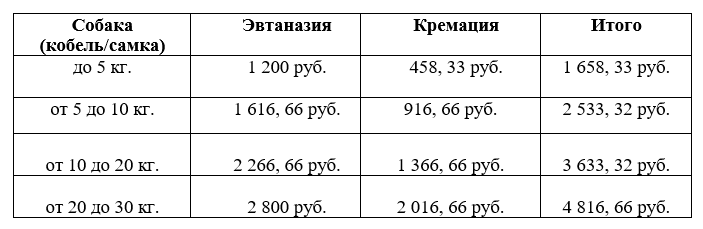 бродячие собак чита