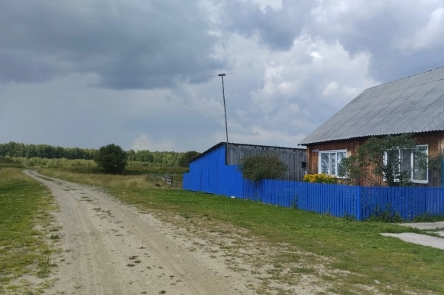 Прямо за домом хозяева нашли задранную волком овцу.