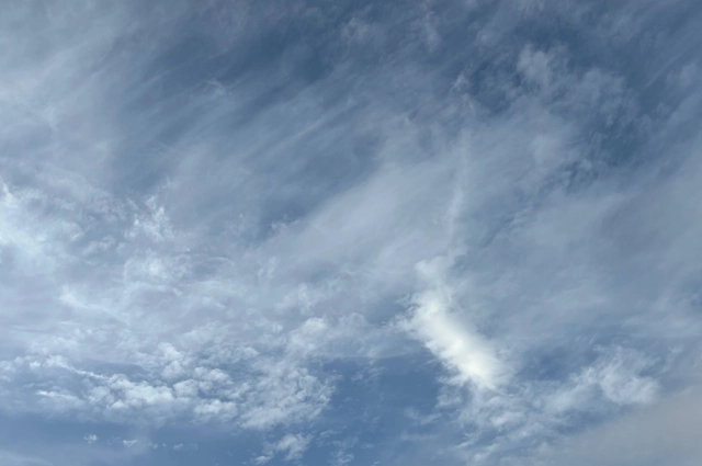 Беспилотник самолетного типа был сбит силами ПВО.