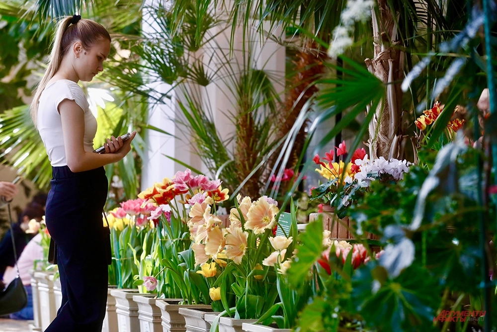 Оранжерейный комплекс в Царицыно.