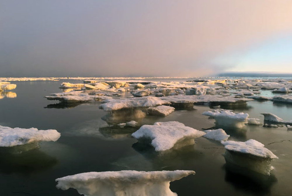 Холодный среди льдин. Мир холодный среди льдин. Индигирка весной льдины. Арктики 49 Донецк фото.