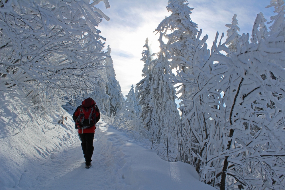 В зимнем лесу много снега, поэтому обувь должна максимально защищать ноги.