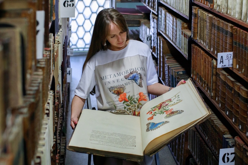 Рисунок из библиотеки.