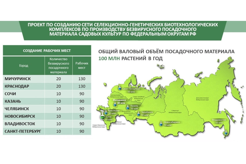 Фото 3 Сеть селекционно-генетических биотехнологических комплексов по производству безвирусного посадочного материала сельскохозяйственных культур.