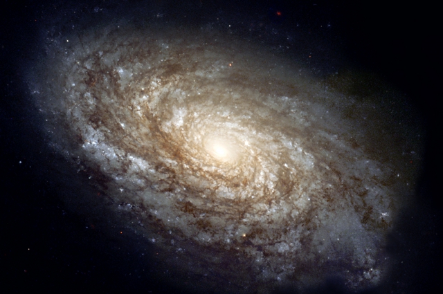 Во многих научных источниках говорится о том, что в центре нашей Галактики находится массивная чёрная дыра под названием Стрелец A.