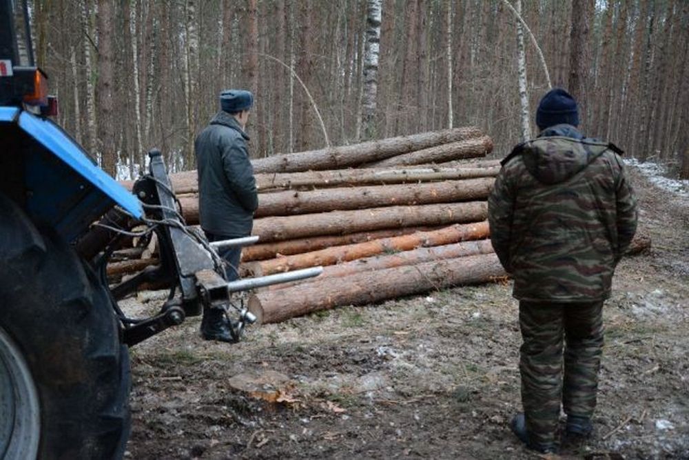 Проверки проходят регулярно.