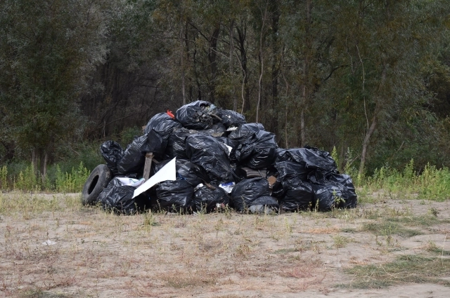 Было собрано 4 тонны мусора.