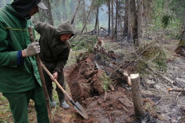 Лесозаготовительные филиалы готовы в любой момент оказать содействие лесопожарному центру в ликвидации лесных пожаров.