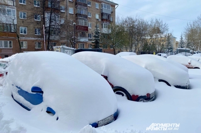 Кто-то решил побыть пешеходом.