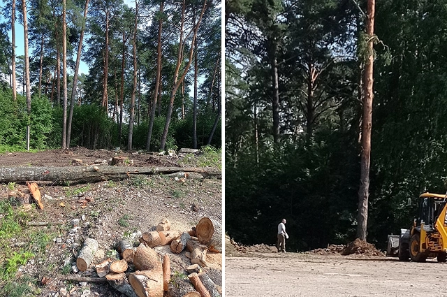 Эти фото сделаны уже 2 июля.